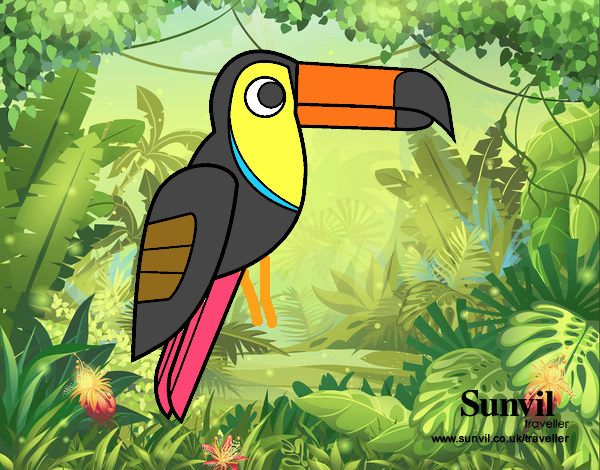 tucan