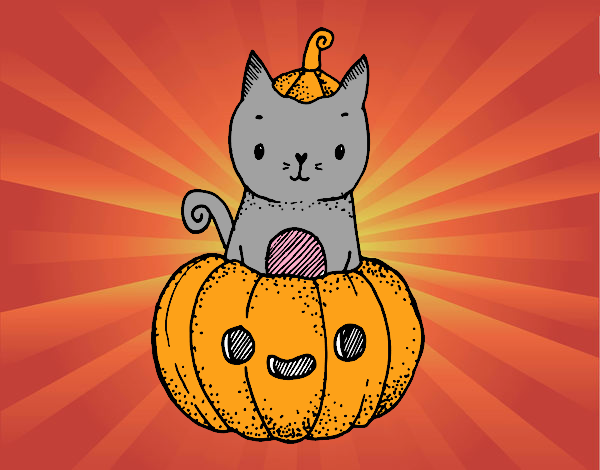 Un gatito de Halloween