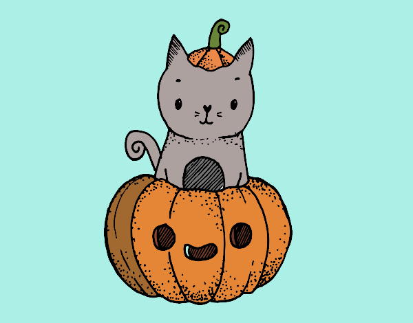 Un gatito de Halloween