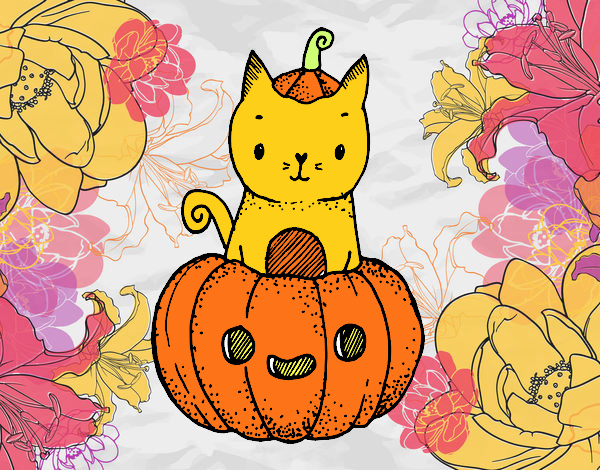 Un gatito de Halloween