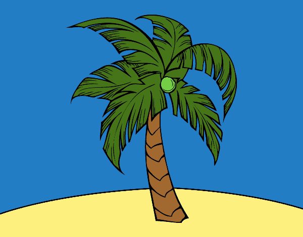 Una palmera