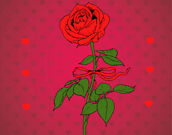 Una rosa