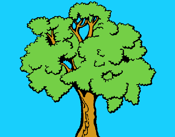 Árbol 1