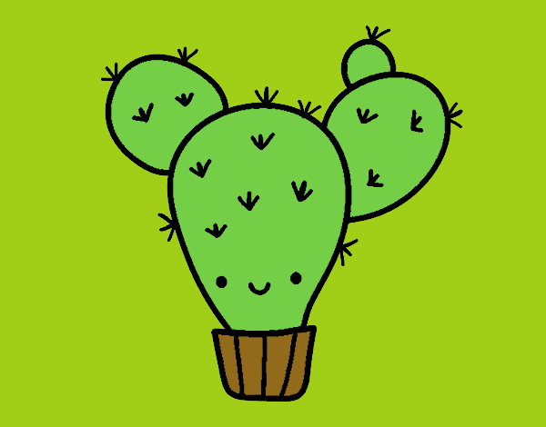 Cactus nopal