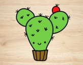 Cactus nopal