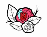 Dos rosas