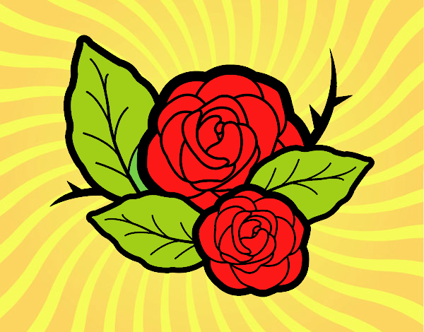 Dos rosas