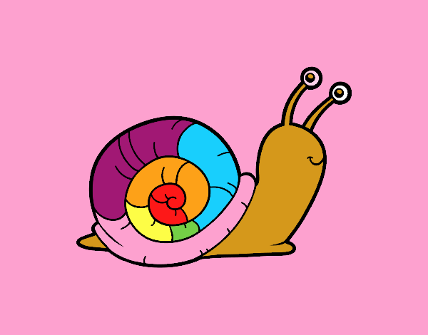 El caracol