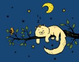 El gato y la luna