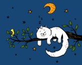 El gato y la luna