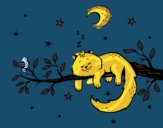 El gato y la luna