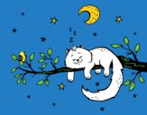 El gato y la luna