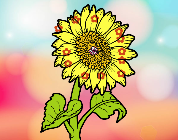 Flor de girasol