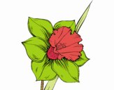 Flor de narciso