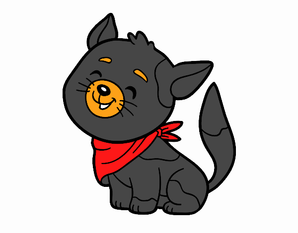 Gato con bandana