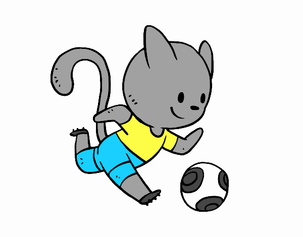 Gato jugando a fútbol