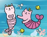 Gatos sirena