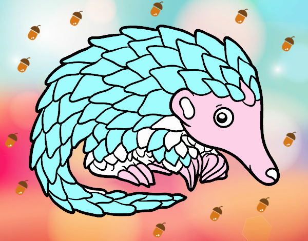 Pangolin