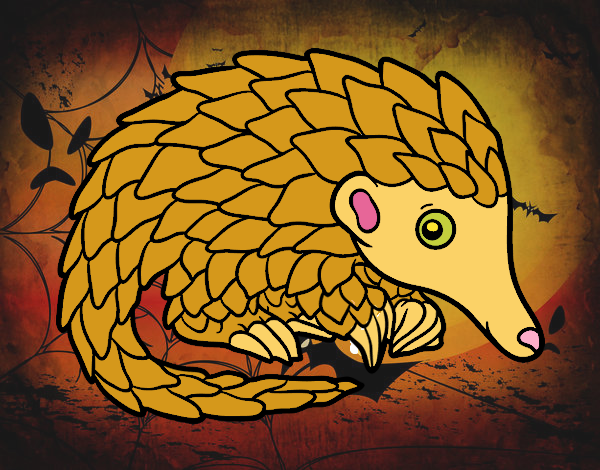 Pangolin