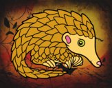 Pangolin