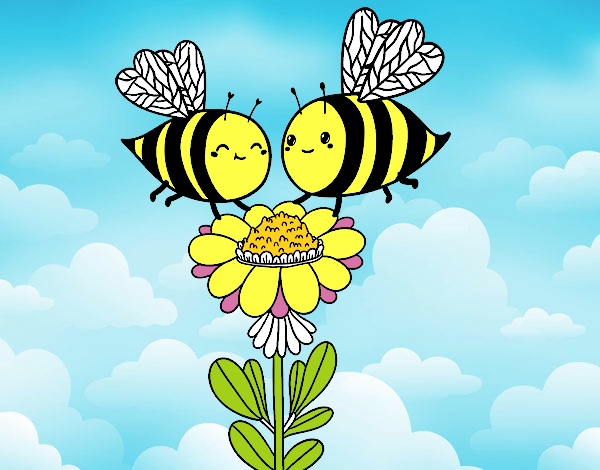 Pareja de abejas