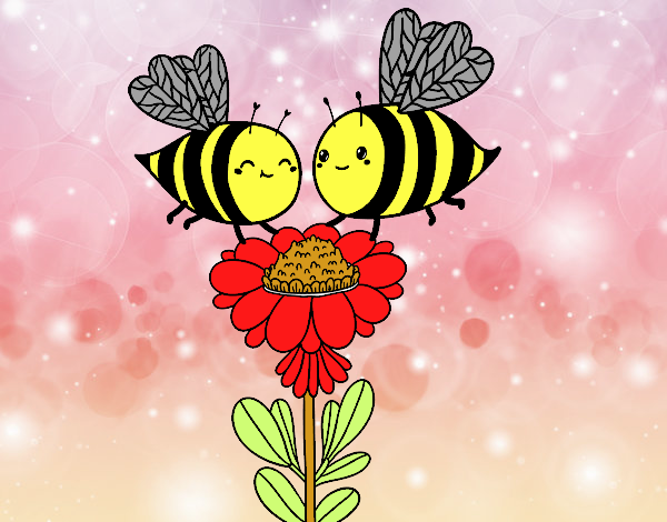 Pareja de abejas