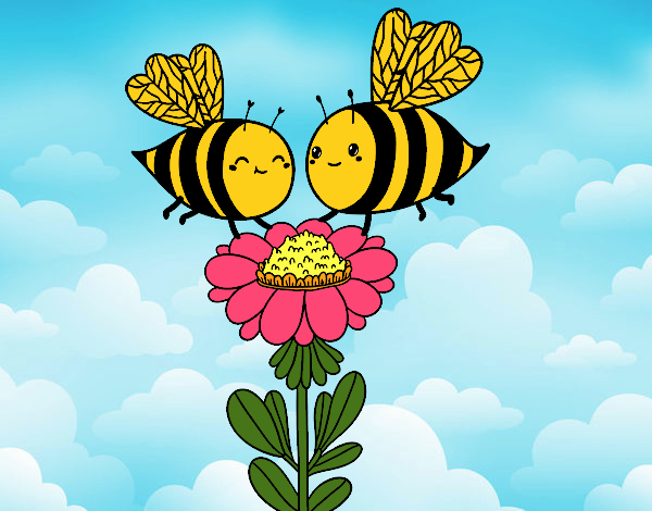 Pareja de abejas