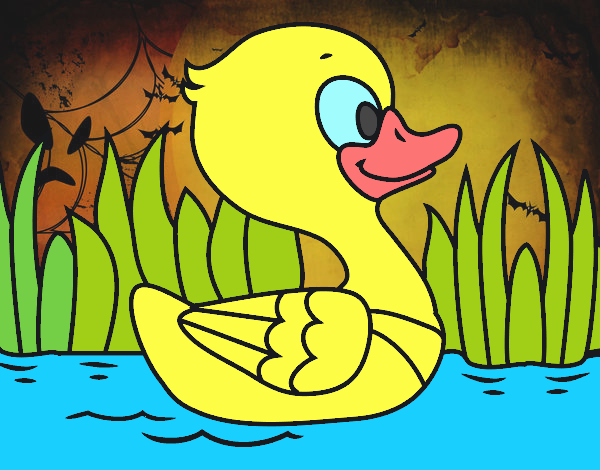 Patito de río