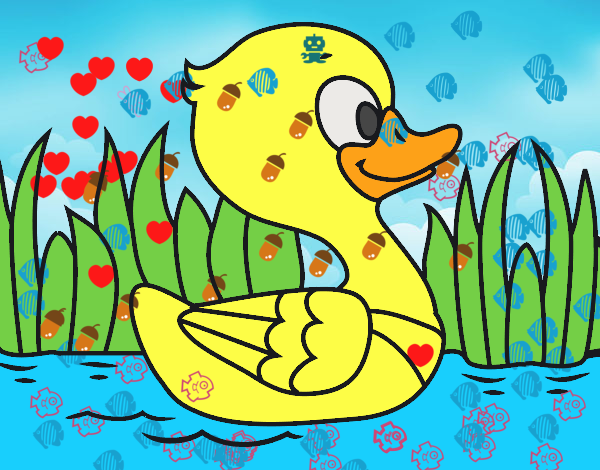 Patito de río