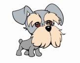 Schnauzer