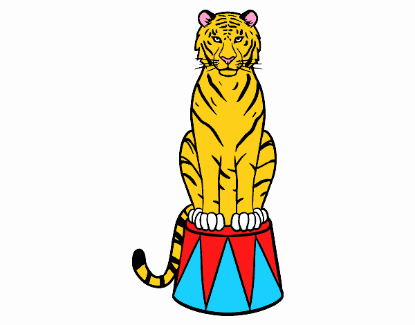 Tigre de circo