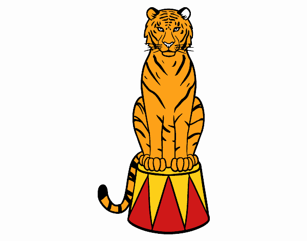 Tigre de circo