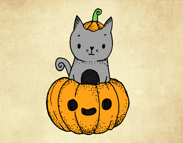 Un gatito de Halloween