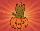 Un gatito de Halloween