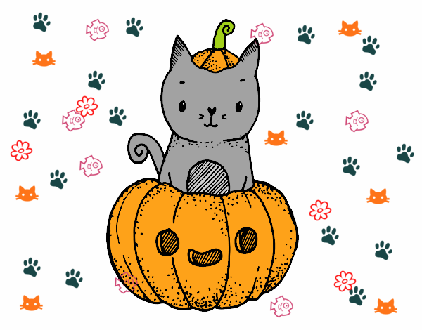 Un gatito de Halloween