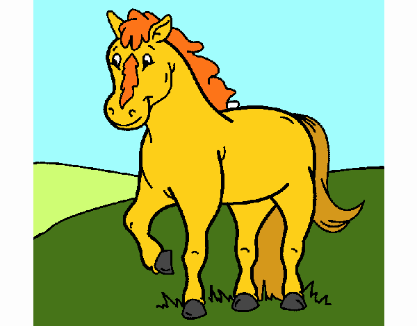 Caballo 4