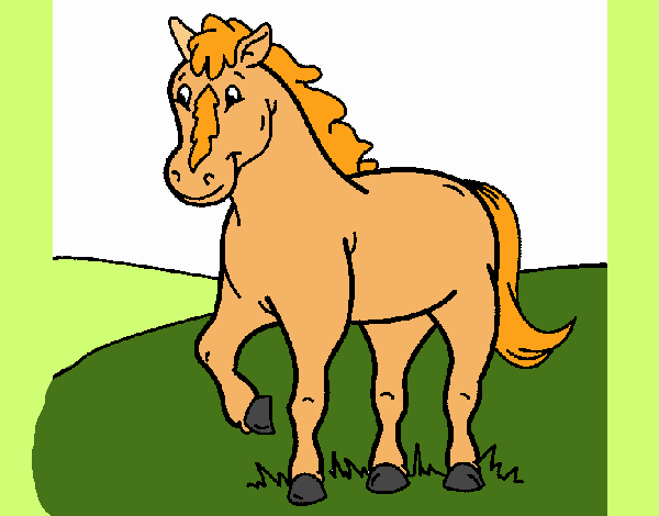 Caballo 4