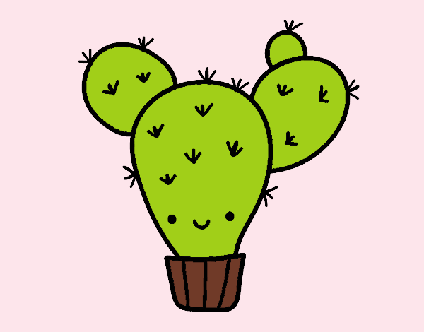 Cactus nopal