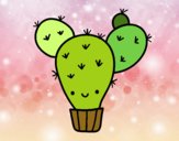 Cactus nopal