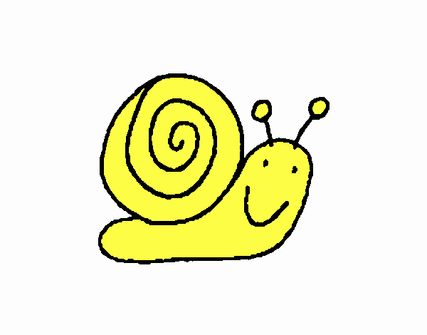 Caracol 4