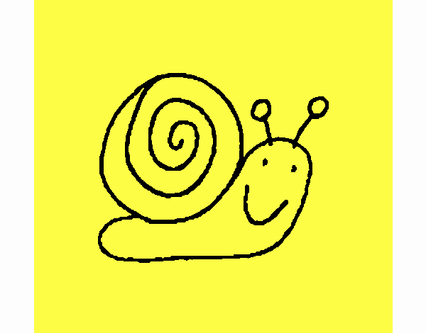 Caracol 4