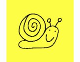 Caracol 4