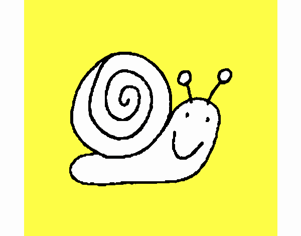 Caracol 4