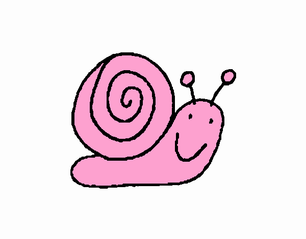 Caracol 4