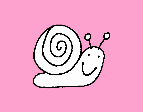 Caracol 4