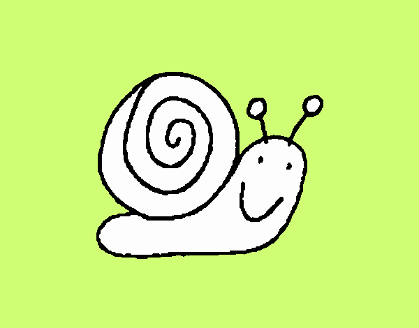 Caracol 4