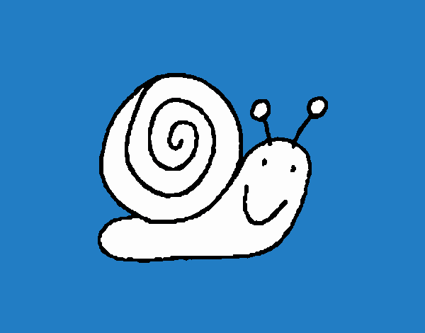 Caracol 4