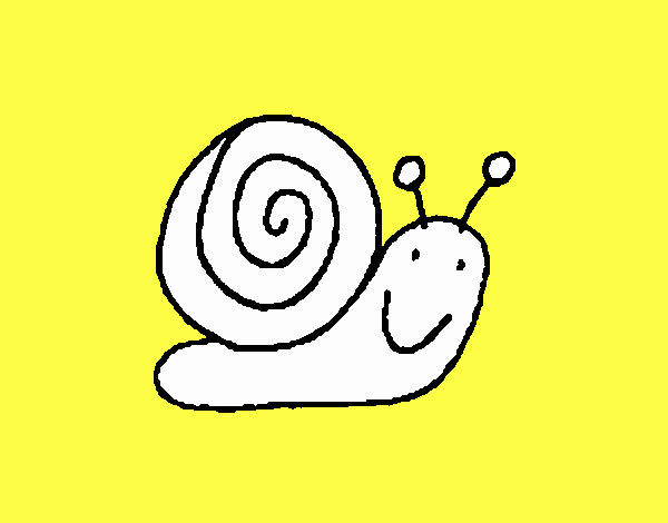 Caracol 4