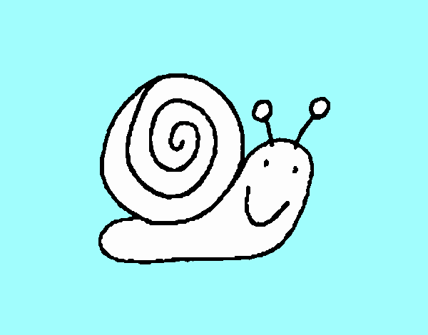 Caracol 4