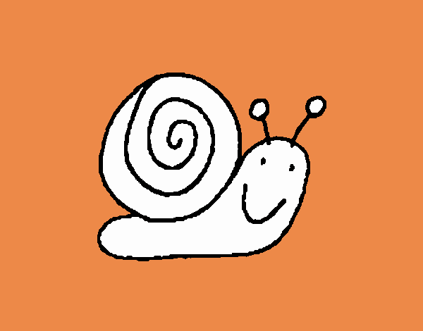 Caracol 4